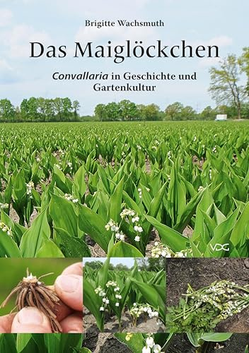 Das Maiglöckchen: Convallaria in Geschichte und Gartenkultur