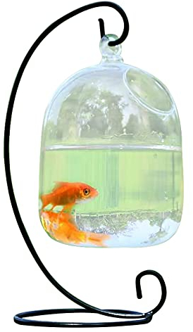 MISNODE Hängende Glasvase mit Ständer, kreative Fischvase aus Glas, transparent, Goldfischschale, kleine Tischplatte, Mini-Aquarium für Betta Fisch, Zuhause, Garten, Schreibtisch, Dekoration