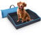 Bestlivings Faltbares Haustierbett für Kleine Hunde und Katzen - Blau - (80cm x 60cm) Reisebett - tragbares Hundebett mit stabilem Rahmen
