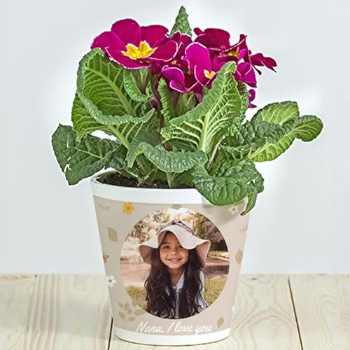 Wanapix | Blumentopf mit Foto oder Namen | Geschenk für Muttertag, Kommunionen, Hochzeiten, Taufen | Topf für Blumen Personalisieren | Keramik | Nana