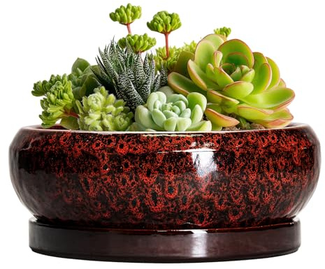 EPFamily Succulent Planters 6 Inch - Ceramic Bonsai Pots with Drainage Hole and Saucer, Small Bonsai Planter, Round Planter Bowl, Shallow Plant Pots Indoor, Room Decor, Gifts for Plant Lovers, Red