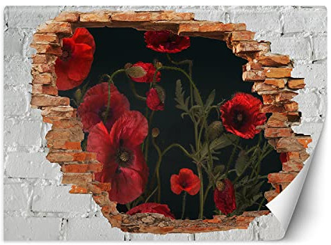Feeby Fototapete 3D Natur Loch in der Wand Abstrakt 250x175 cm Rot Vlies Wandtapete Tapeten Wohnzimmer Schlafzimmer Büro Flur Moderne Design Wandbilder Wand Dekoration Blume Pflanze Mohn