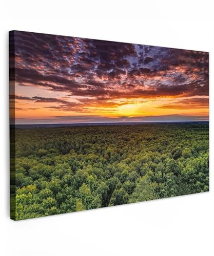 MuchoWow© Wandbilder Groß 120x80 cm XXL Schlafzimmer Home Deko Wohnung Bild Wohnzimmer Fotoleinwand Wand Bilder Leinwand Wall Decor Wald - Nacht - Himmel - Horizont - Bäume