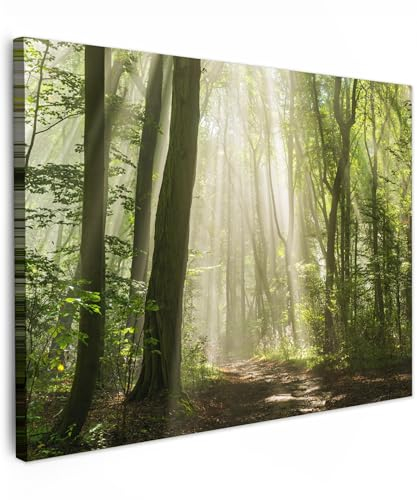 MuchoWow© Leinwandbild 80x60 cm Dekoration Wohnzimmer Bilder Aufhängen Wall Decoration Living Room Wohnungs Deko Moderne Wald - Sonne - Jahreszeiten - Landschaft - Bäume
