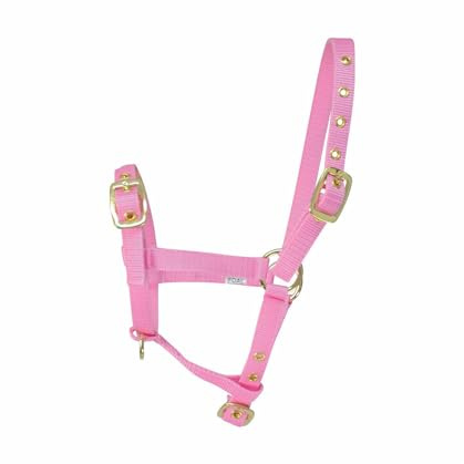 Y-H Hy Fohlen Halfter PR-2952 Rosa Einheitsgröße 20352