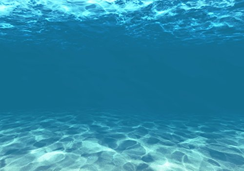wandmotiv24 Fototapete Hellblau unter Wasser, XL 350 x 245 cm - 7 Teile, Wanddeko, Wandbild, Wandtapete, Unterwasser, Blau, Meer M1053