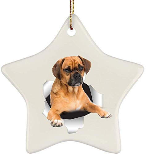 Christbaumschmuck Mit Hanfseil Weihnachtsbaum Deko Keramik Weihnachtsdeko Lustiges Puggle-Aprikosenweiß, Das Aus Einer Rissigen Wand Kommt