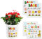ZHYLUO 4 Blumentopfaufkleber Abschiedsgeschenk Erzieherin, Danke für das Geschenk, Kleinigkeit für Erzieherin, Abschiedsgeschenk Kindergarten, Kindergarten Dankeschön Blumentopfaufkleber
