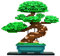 Nanoblock NB039 Bonsai Matsu Spielzeug, Multi
