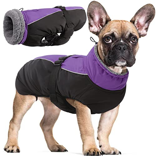 Wasserdichter Hundemantel Winter Warme Hundejacke, Hundebekleidung Outfit für kleine mittel große Hunde, Hundepullover mit Sicheren Reflexstreifen für Labrador Chihuahua Französische Bulldogge