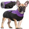 Wasserdichter Hundemantel Winter Warme Hundejacke, Hundebekleidung Outfit für kleine mittel große Hunde, Hundepullover mit Sicheren Reflexstreifen für Labrador Chihuahua Französische Bulldogge