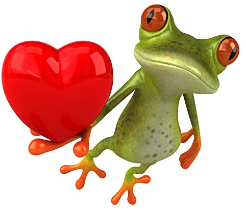 Aufkleber Frosch mit Herz 24 x 20 cm - Auto Aufkleber Deko Sticker - PKW LKW Wohnwagen - Witterungsbeständig und Waschanlagengeeignet - kfz727
