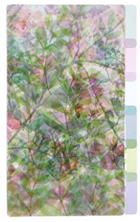 Yanhonin Binder-Trenner, 6 Blatt, für A5/A6/A7, Polypropylen, Transparent, 6 Löcher