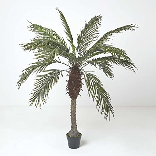 HOMESCAPES Artificial Phoenix Palm Tree 160 cm Tall Fake Green Palm Plant with Wood Effect Raffia Textured Tunk Potted in Black Pot