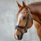 SUNRIDE schwedische Trense für Pferde (Aspen) - mit Zügeln - weiches Echtleder - extra Polsterung - anatomisch, verstellbar - Lack am Nasenriemen - handgefertigt - rostfrei - braun (Pony)