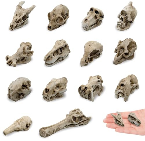 14 Pcs 1.5 Inch Mini Resin Animal Skull Heads Miniature Animal Skull Figurines Mini Halloween Skulls Mini Skull Figurine Miniature Skulls for Crafts Halloween Christmas Micro Landscape Decor