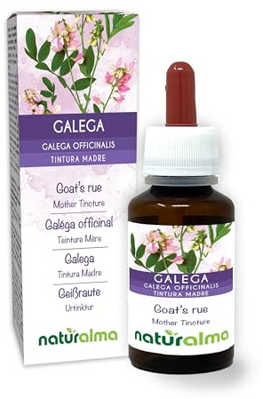 Galega (Galega officinalis) erba con fiori Tintura Madre analcoolica Naturalma - Estratto liquido gocce 60 ml - Integratore alimentare - Vegano