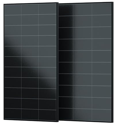 ECO-WORTHY Panel solar monocristalino de 240 W, 12 V, 2 módulos placa solar de 120 W All Black Design, adecuado para caravanas, jardines, balcones, barcos y techos de casas