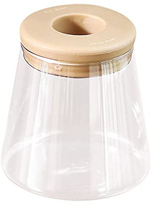 Feizikaw Pot Monstera Hydroponique Transparent Absorbant l'eau Plantation Plante Pot De Fleurs sans Sol Vert Patio Jardin (A, One Size)