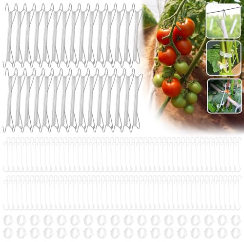 canddy Tomatenhaken mit Schnur, 30 Stück Tomatenpflanzen-Stützclips, Tomatenhalter-Haken mit 10 m Schnur für Kletterpflanzen, Tomaten, Gurken, Kirschen, Gemüse (30, Weiß)
