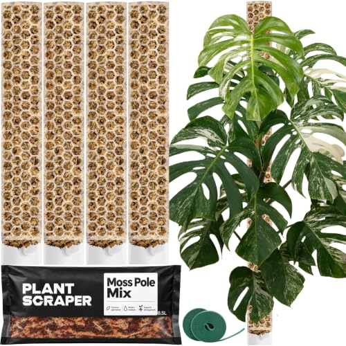 PlantScraper XL Moosstab für Monstera 4 x 63 cm - Erweiterbare Monstera Rankhilfe & Zubehör-Set - Pflanzstäbe mit Pflanzen-Klettband & Moosstangenmischung - Optimiert für Aroiden
