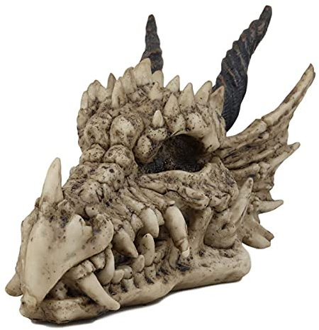 Ebros Geschenk Jurassic Beowulf Elder Drachenkopf Schädel Realistische Fossil Statue 19,75 cm lang Miniatur Macht und Magie für mittelalterliche Fans Game of Thrones Liebhaber Dungeons und Drachen