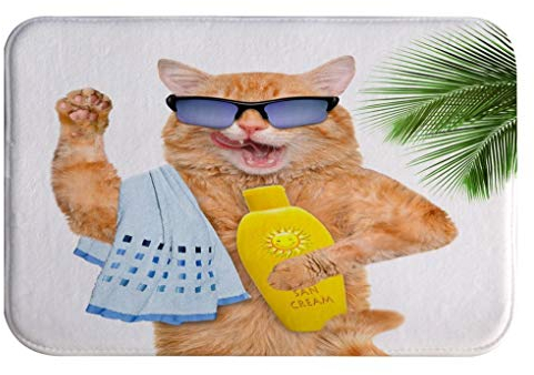 A.Monamour rutschfest Saugfähig Waschbar Badematte Lustige Braune Katze Mit Sonnenbrille Cartoon Tier Weich Flanell Badezimmerteppich Badteppich Badvorleger Badewanne Dusche Duschvorleger