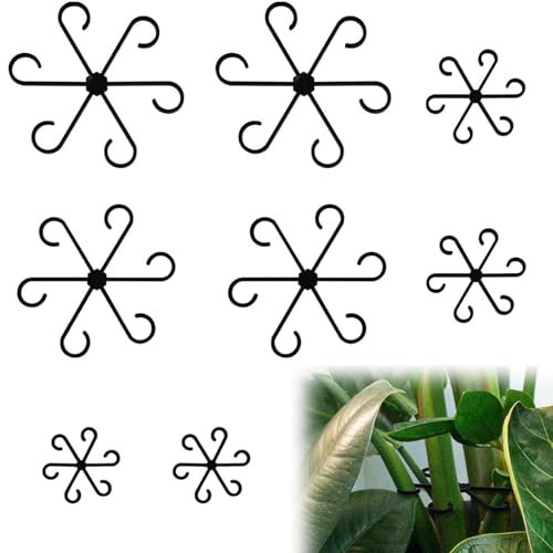 Raheem Lot de 8 supports pour plantes - Stabilisation des plantes Alocasia - Supports pour plantes d'intérieur - Monstera - Pinces pour plantes - Pour soutenir les plantes, fleurs, roses, tomates