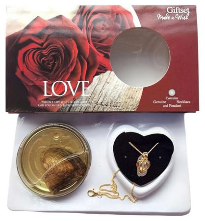 Wish Pearl Halskette Kit - DIY Halskette Making Kit, Halskette Käfig Medaillon Zuchtperle in Auster Set, Valentinstag Geschenk für Ihre Frau, Freundin, Mutter (Golden-Rot)