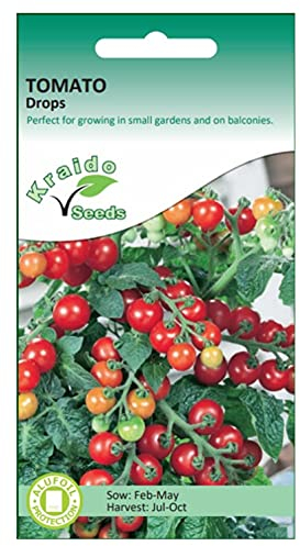 Red Cherry Tomato Seeds Drops Solanum Lycopersicum 50 Seeds Grow Your Own Vegetables Ideal for Greenhouse or Garden Growing in Raised Beds Polytunnel Growbags or in Large Pots and Containers