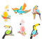 Tropische Vögel Dekoratione Bunt Papagei Waben Hängende Dekor Hawaii Sommer Hängedeko für Tropical Party, Garten, Schlafzimmer 6 Stück