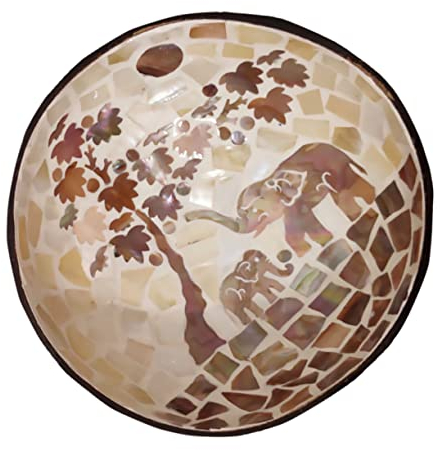 PRETYZOOM Coconut Shell Bowl Candy Snacks Bowl Creative Nuts Container for Home Snack Storage Accessories