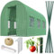Plonos Serre Tunnel avec Cadre en Acier - avec Support pour Plantes - 2 x 3 x 2 m - 6 m² - Vert