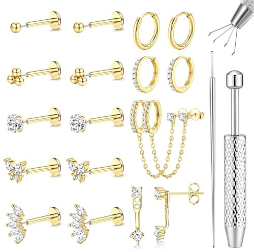 Chriscoco 16G/18G/20G Helix Piercings Chirurgenstahl Creolen Ohrringe Set für Damen 14K Vergoldet Medizinische Ohrstecker Silber Nasenpiercing Labret Conch Tragus Piercing Set Piercing Ohr-C-18G-G