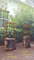 Zen Man Kaminholzregal Garten Rost Eisen Kaminholzunterstand Holzregal Kaminholz (032171: L60 B25 H150cm)