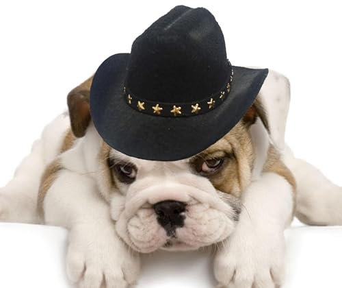 Cowboyhut für Hunde | Cowboyhut für kleine Hunde | Welpen-Halloween-Kostüme, Haustier-Dekoration, Cowboy-Kostüm, Cosplay-Hüte für Sommer und Spaziergänge im Freien