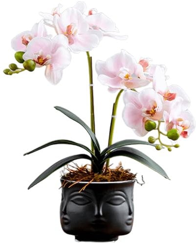 SYDDOL Pink Künstliche Orchideen Bonsai 35 cm Hoch Künstliche Phalaenopsis Blumengesteck Real Touch Feuchtigkeitsspendende Künstliche Orchideen im Keramik Zen Topf für Tischdeko Raumdekoration