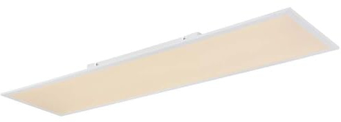 Ceiling Light Smartlight Dimmable LED Remote Control APP L 120 cm RGB Colour Changer