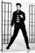 Kunstdruck auf Leinwand, Motiv Elvis Presley, 30,5 x 20,3 cm, Schwarz/Weiß