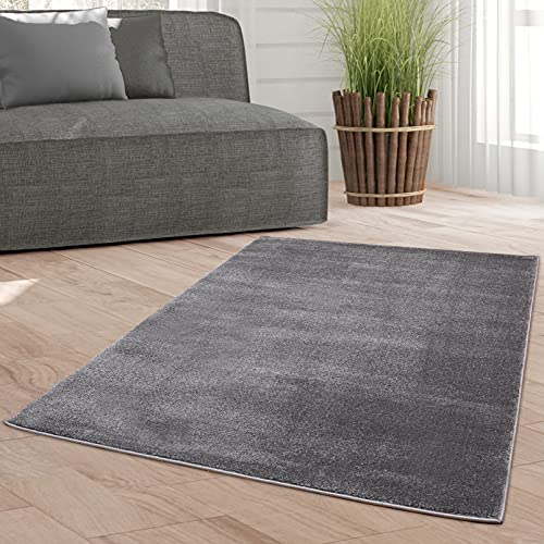 Taracarpet Weicher Kurzflor Designer Teppich modern für Wohnzimmer, Schlafzimmer, Kinderzimmer und Arbeitszimmer dunkelgrau 120x170 cm