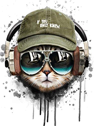 YEESAM ART DIY Ölgemälde Malen nach Zahlen Erwachsene Kinder, Musik Katze Cool Katze Zahlenmalerei ab 5 Öl Wandkunst (Katze, mit Rahmen)