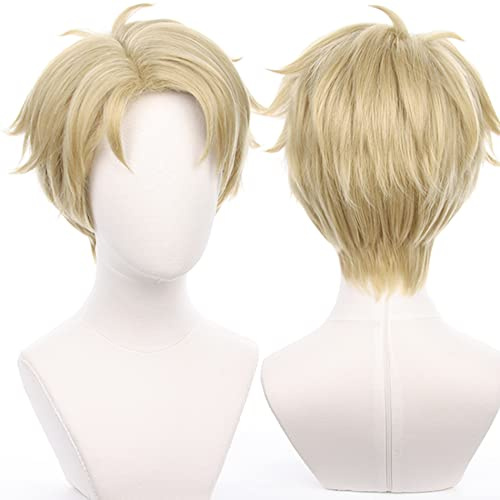 Dunkelbraune Perücke Cosplay-Perücke Kostüm Herren Lange Anime-natürliche weiche Party-Haarperücken mit Perückenkappe
