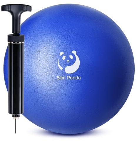 Slim Panda Pelota de Pilates 23cm con Bomba, Antiexplosión Antideslizante Pelota de Gimnasia,Soft Balones de Yoga para Fitness,Entrenamiento del Equilibrio(Boquilla de Inflado Antifugas)