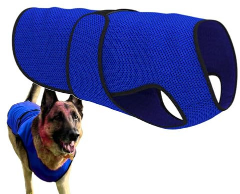 Kühlweste für Hunde, Eisweste für Hunde, UV-Schutz, Shirt Schwein, Haustier gent, Kühltop für Haustiere, für die Haut für kleine, mittlere und große Hunde
