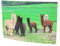 Cornelissen 1037359 Alpaka 3D-Postkarte