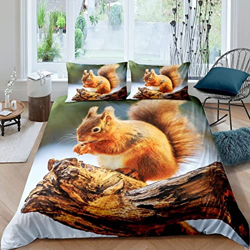 TAKOLI Bettwäsche 135 x 200 3D eichhörnchen Druck, Weiche Microfaser niedliches Tier Eichhörnchen Bettwäsche Set 2 teilig - Dschungel Tiere Bettbezug & 1 Kissenbezüg 80x80, mit Reißverschluss