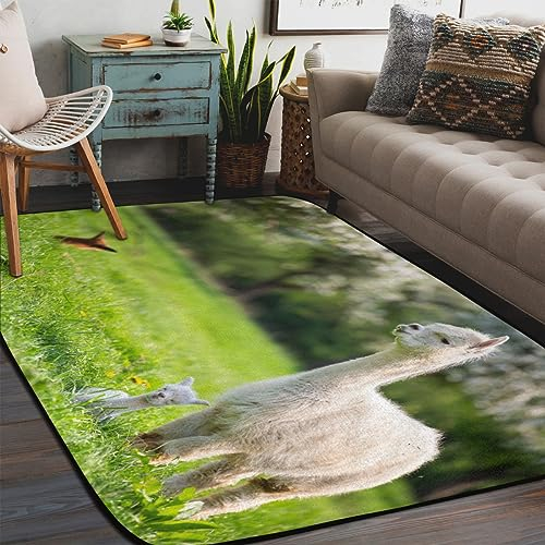 TropicalLife Weißer Alpaka-Teppich für den Innenbereich, groß, rutschfest, 183 x 122 cm, niedlicher Alpaka-Teppich für Wohnzimmer, Schlafzimmer, Küche, Esszimmer, Kinderzimmer