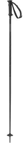 Salomon Unisex-Adult Polar Access Alpine Poles, Black, 120