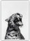 Lustiges Tierposter, schwarz-weißer Leoparden-Wandkunst, Vintage-Geparden-Dekor, trendiger Druck, Leinwand, eklektische Tierwelt, ästhetische Drucke für Wohnzimmer, Schlafzimmer, Badezimmer, Poster,