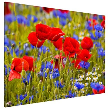 micasia Magnettafel Pinnwand für Magnete Blumen Floral Magnetboard - Magnetwand Made in Germany - Mohn Modern Notiztafel rot Küche Flur Büro Visionboard WBMT_3385 (40x30cm)